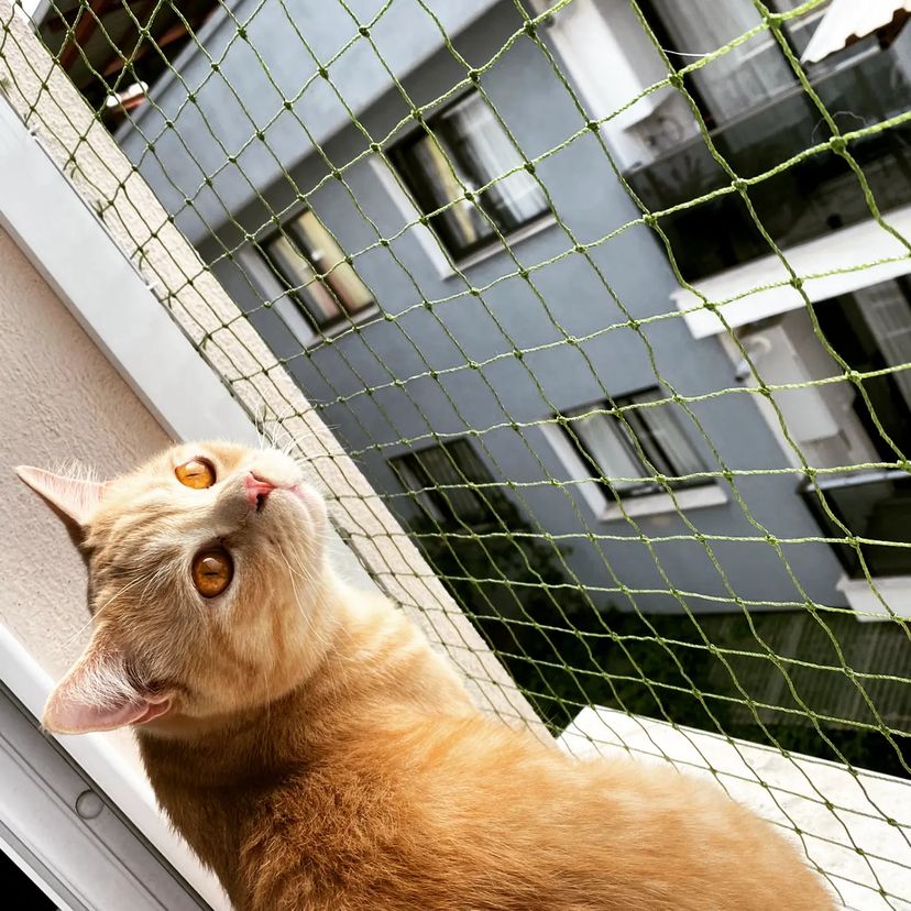 Pets 300cm x 800cm plasa de protecție pentru Balcon